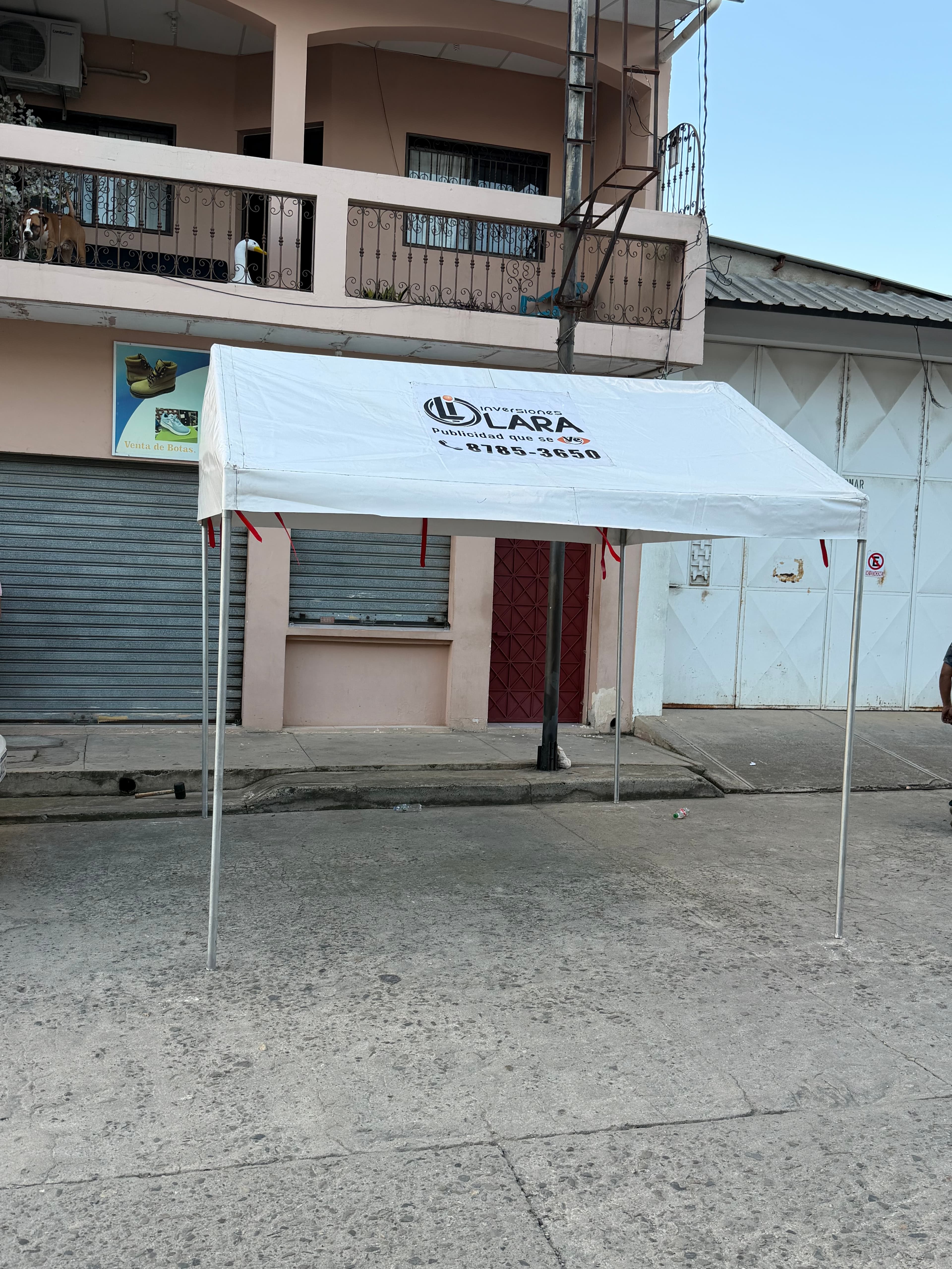 Renta de Carpas